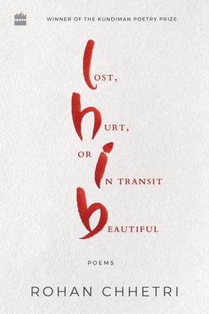 LOST, HURT, OR IN TRANSIT BEAUTIFUL