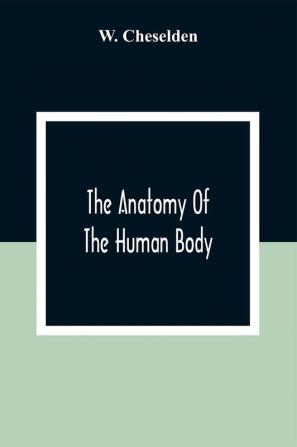 The Anatomy Of The Human Body