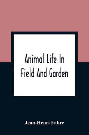 Animal Life In Field And Garden