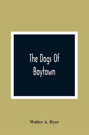 The Dogs Of Boytown