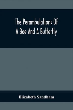 The Perambulations Of A Bee And A Butterfly