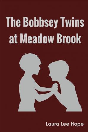 The Bobbsey Twins at Meadow Brook