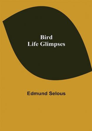 Bird Life Glimpses