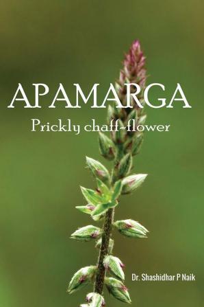 APAMARGA Prickly chaff-flower