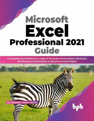 Microsoft Excel Professional 2021 Guide