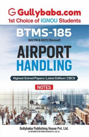 BTMS-185 Airport Handling