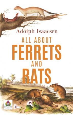 All About Ferrets and Rats