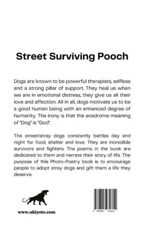 Street Surviving Pooch