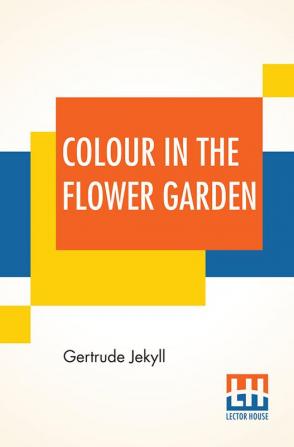 Colour In The Flower Garden