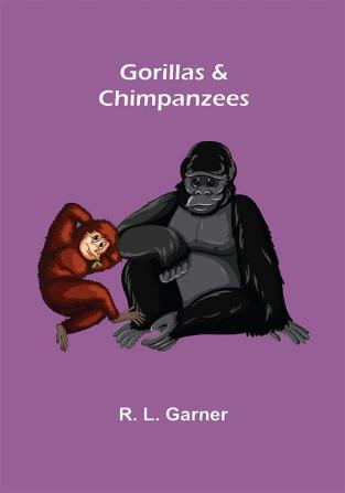 Gorillas & Chimpanzees