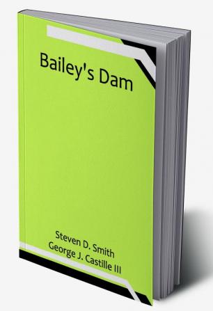 Bailey's Dam