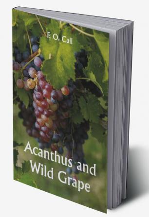 Acanthus and Wild Grape