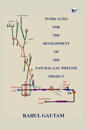 Intricacies for the Development of the Natural Gas Pipeline Project