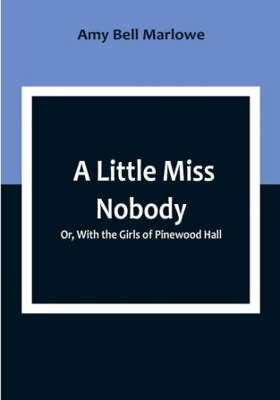 A Little Miss Nobody; Or With the Girls of Pinewood Hall