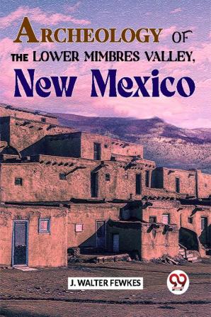 Archeology Of The Lower Mimbres Valley New Mexico