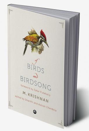 Of Birds And Birdsong