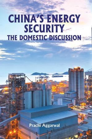 China's Energy Security: The Domestic Discussion