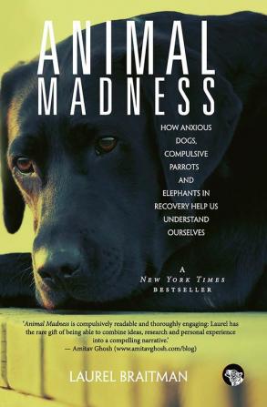 Animal Madness: How Anxious Dogs Compulsive Parrots And El