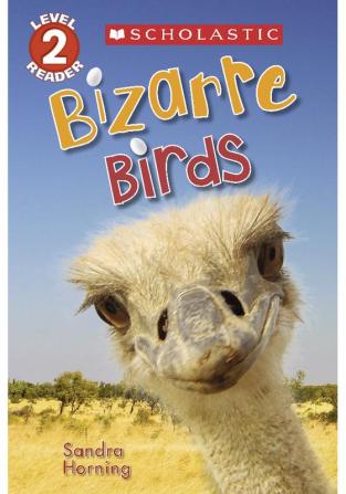 BIZARRE BIRDS - SCHOLASTIC READER LEVEL 2