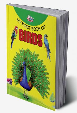 My First Book of Birds