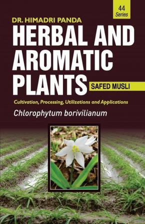 HERBAL AND AROMATIC PLANTS – 44. Chlorophytum borivilianum (Safed musli)