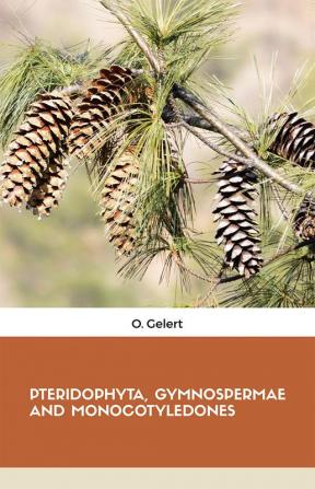 Pteridophyta Gymnospermae and Monocotyledones