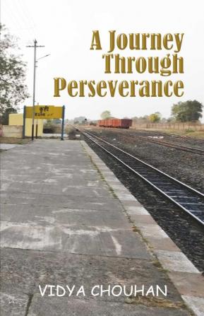 A Journey through Perseverance