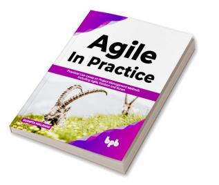 AGILE in Practice