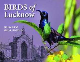 Birds of Lucknow