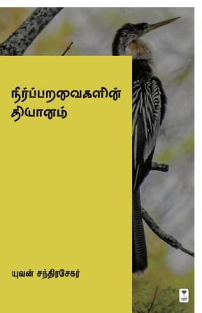 NEER PARAVAIGALIN DHIYANAM