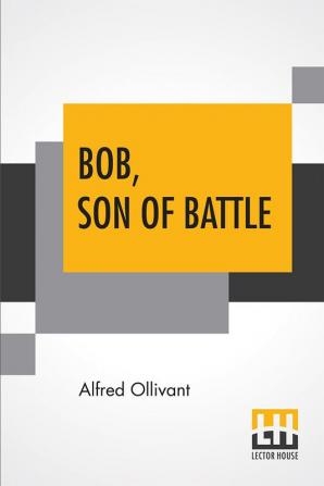 Bob Son Of Battle