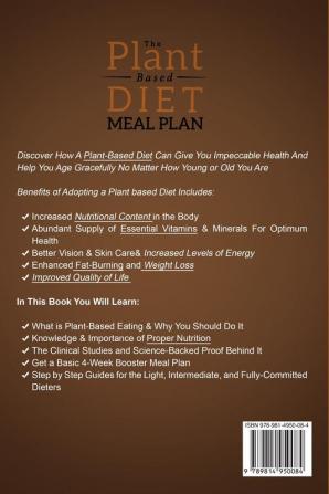 Plant Based Diet Meal Plan: Better Health and Energy in Just 10 Days