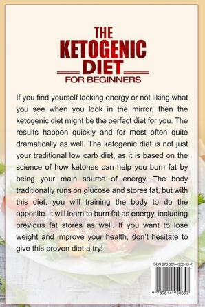 Ketogenic Diet For Beginners