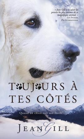 Toujours à tes côtés: quand un chien suit son étoile