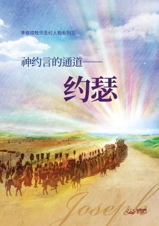 神约言的通道-约瑟: Joseph A Passage to God's Covenant (Simplified Chinese): Joseph A Passage to God's Covenant (Simplified Chinese)