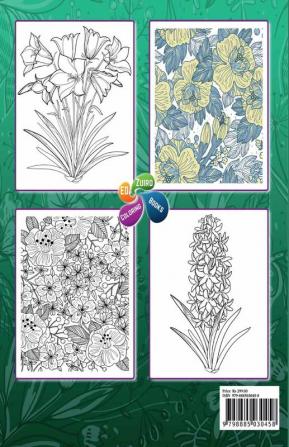 The Beautiful World of Flowers : An Adult Coloring Book for Beginners | Stress Relief Relaxation &amp; Creativity | 50+ Designs to Draw &amp; Color | Perfect Coloring Book for Seniors (Large Prints)