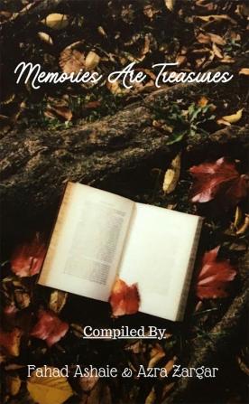 Memories Are Treasures