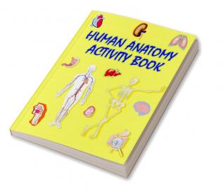 Human Anatomy Activity Book : An Educational and Interactive Book About Human Anatomy