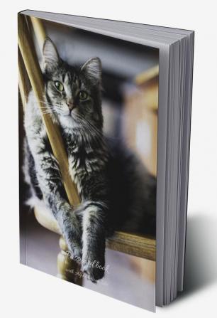 Password Book with Alphabetical Tabs : Cat Password Book To Protect Usernames and Passwords