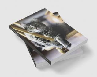 Password Book with Alphabetical Tabs : Cat Password Book To Protect Usernames and Passwords