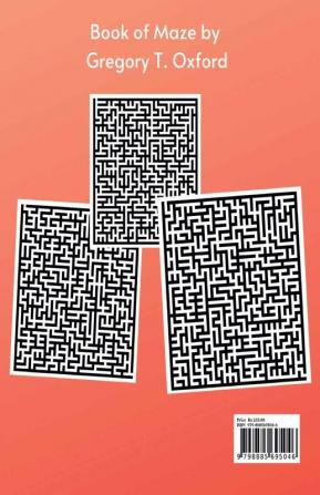 Maze Puzzels For Adults : Hard and Confusing Puzzles for Adults Seniors and all other Puzzle Fans