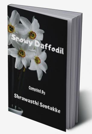 Snowy Daffodil