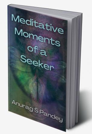 Meditative Moments of a Seeker