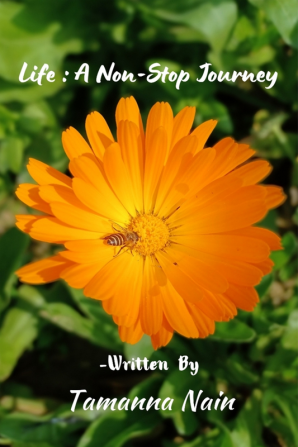 Life : A Non-Stop Journey