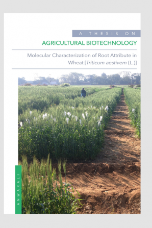 Agricultural Biotechnology: Molecular Characterization of Root Attribute in Wheat [Triticum aestivum (L.)]