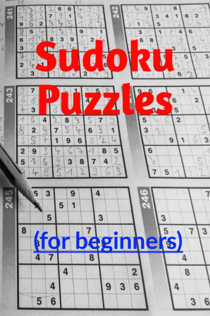 Sudoku Puzzles (for beginners)