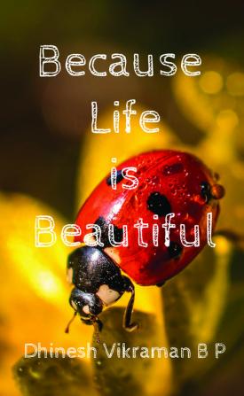 Because Life is Beautiful