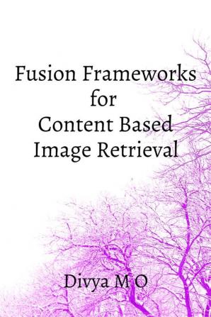 Fusion Frameworks for CBIR : Content Based Image Retrieval