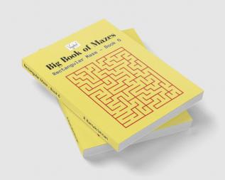 Rectangular Maze - Book 6 : Big Book of Mazes