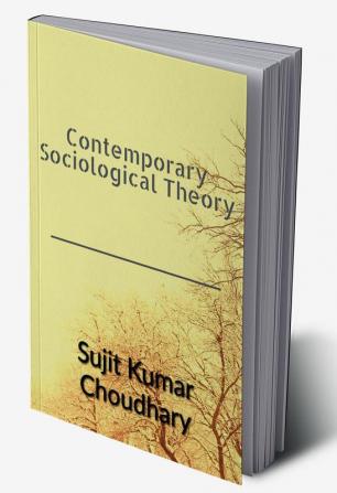 Contemporary Sociological Theory